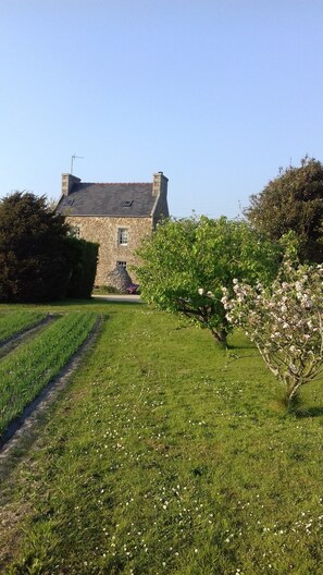 Garden - Oudoty (Kerlouan)