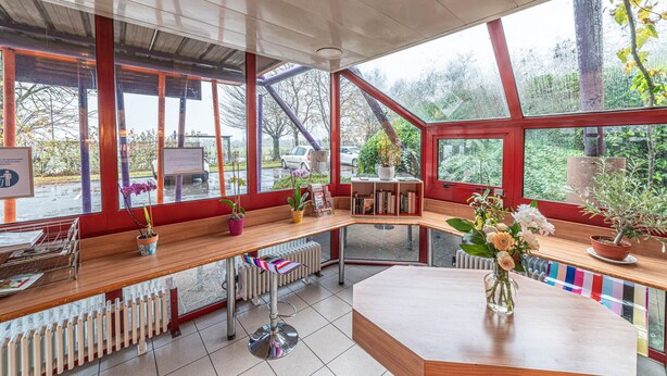 Ein modernes Interieur mit großen Fenstern, Holzmöbeln und Zimmerpflanzen.