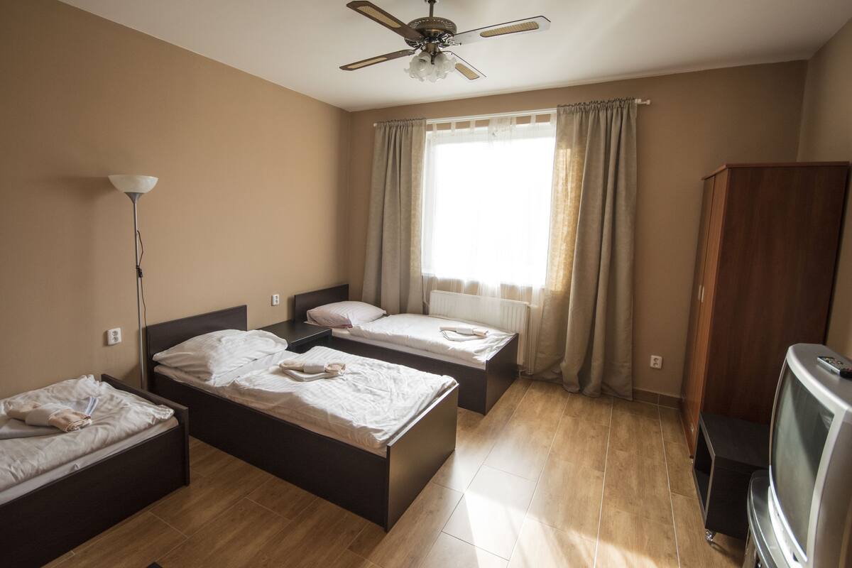 Minibar, desk, WiFi (free), bed sheets