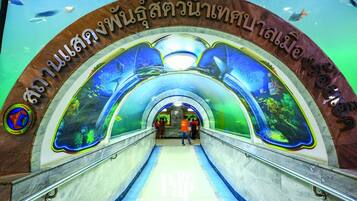 Un escalier mécanique sur le thème du monde sous-marin, orné d’une grande fresque représentant la faune marine et d’une enseigne avec des caractères thaïlandais.