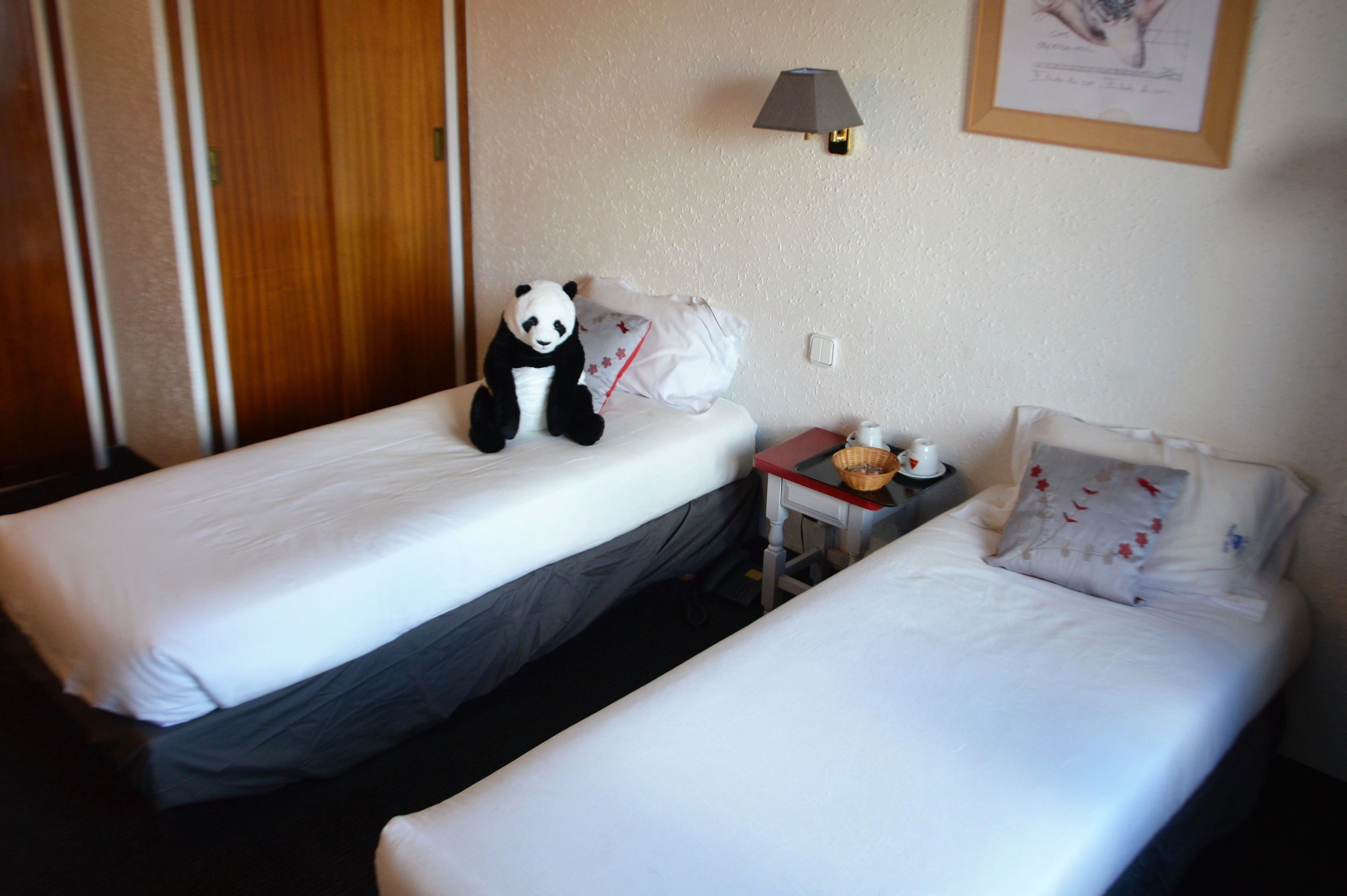 Foto - Hotel Panda