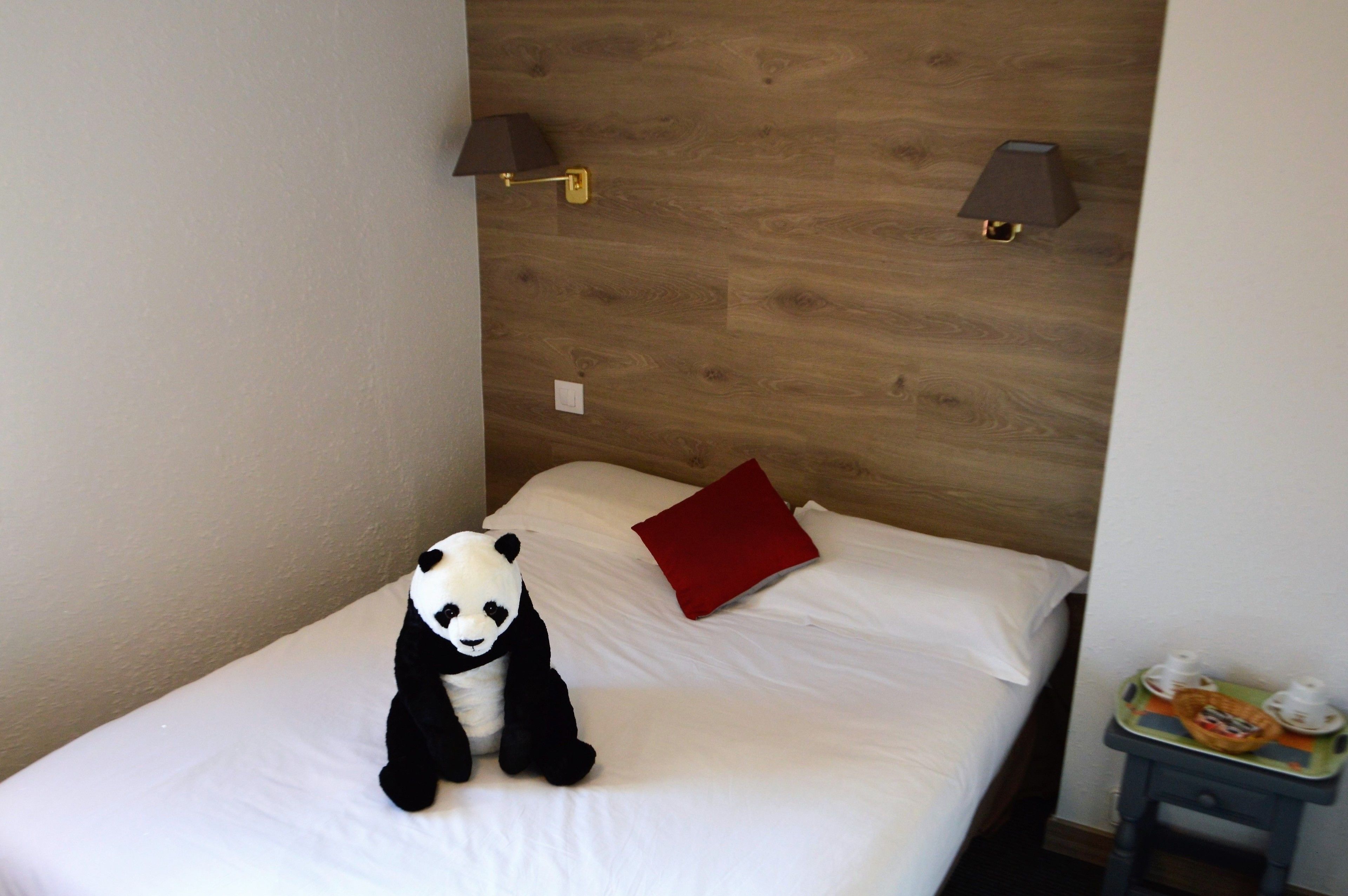 Foto - Hotel Panda