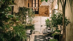 An outdoor patio area with a patterned rug, potted plants, and a seating arrangement.
