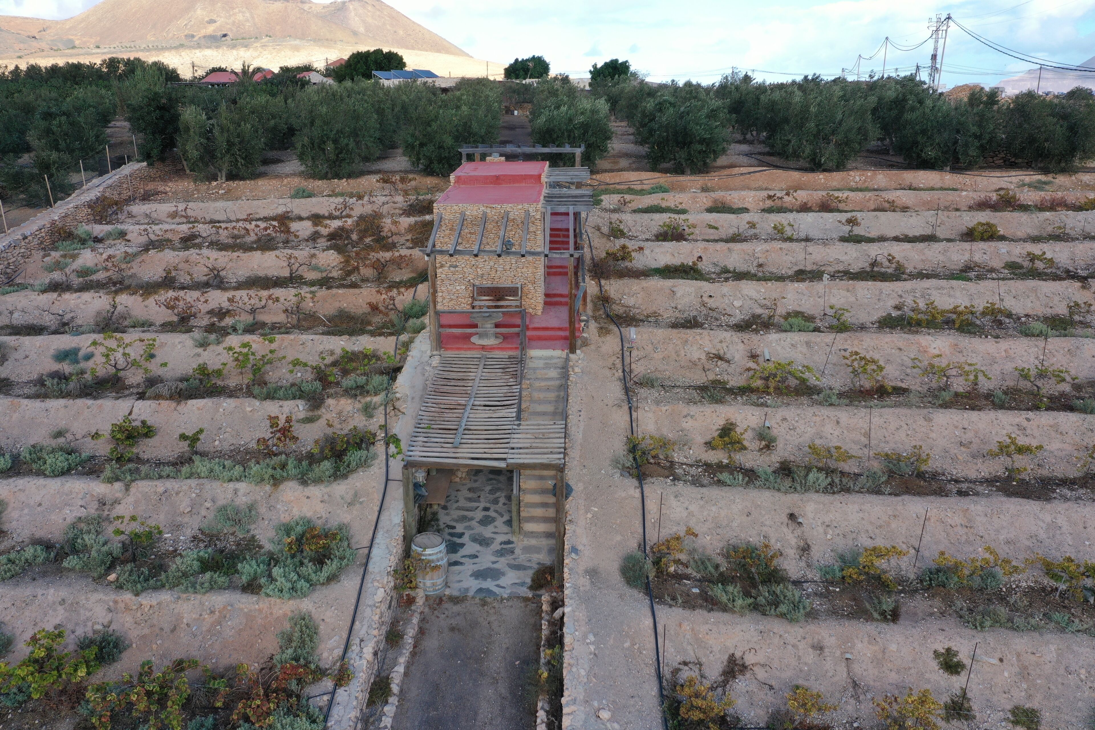 Photo - Agroturismo La Gayria