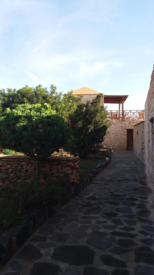 A stone pathway leading to a building with a covered area, surrounded by greenery and stone walls. - Agroturismo La Gayria (Tuineje)