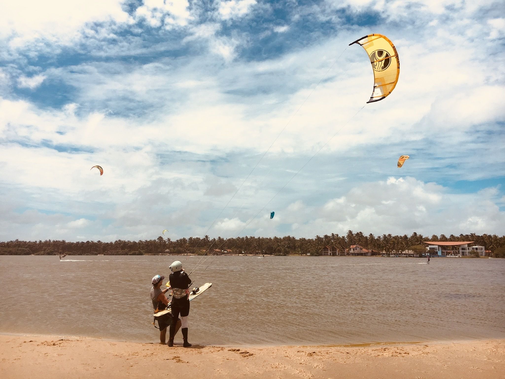 A beach with people preparing for kite surfing, a calm sea, and a line of palm trees in the background.