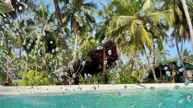A clear pool surrounded by palm trees and a thatched-roof structure.