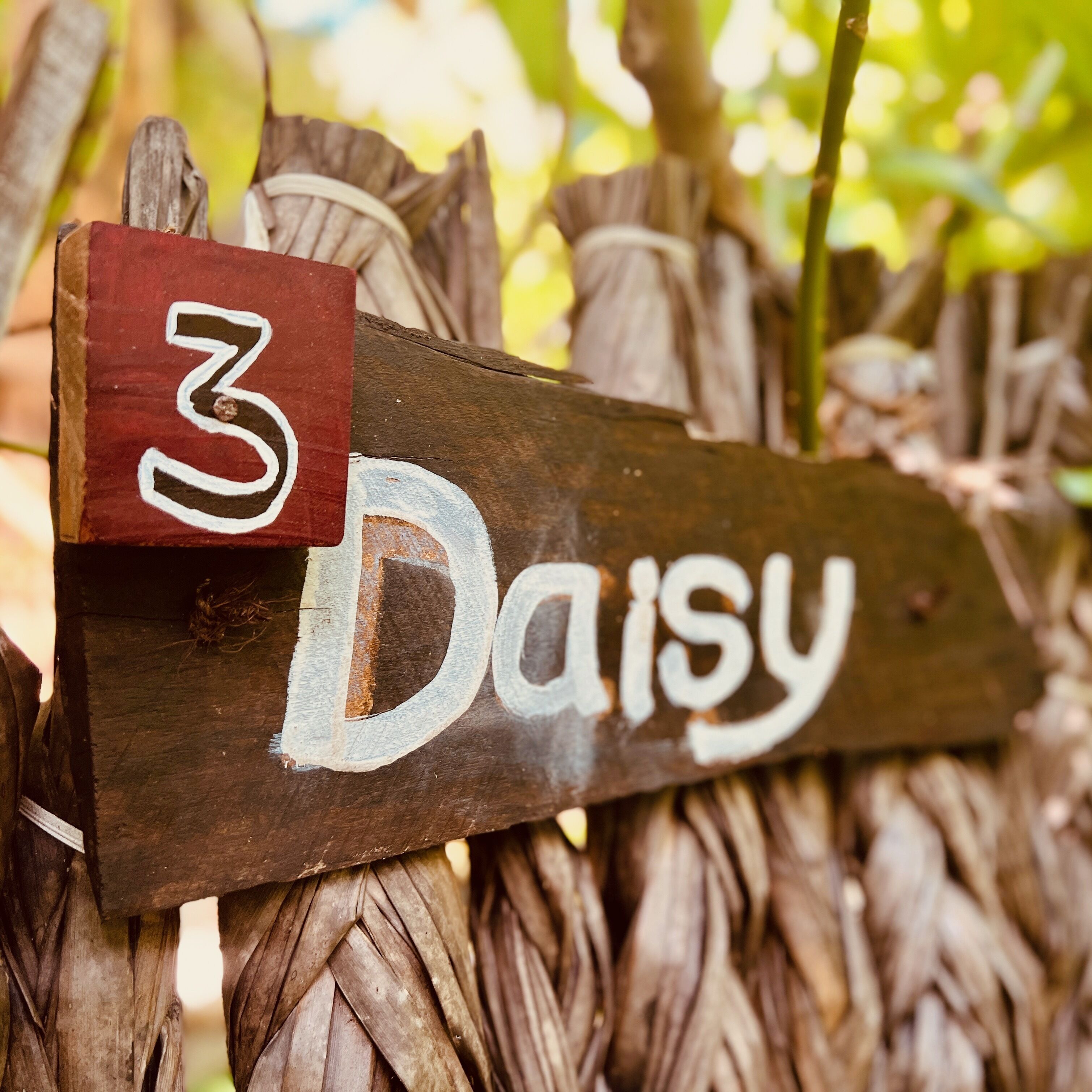 Un letrero de madera con el número 3 y la palabra 'Daisy' pintados.