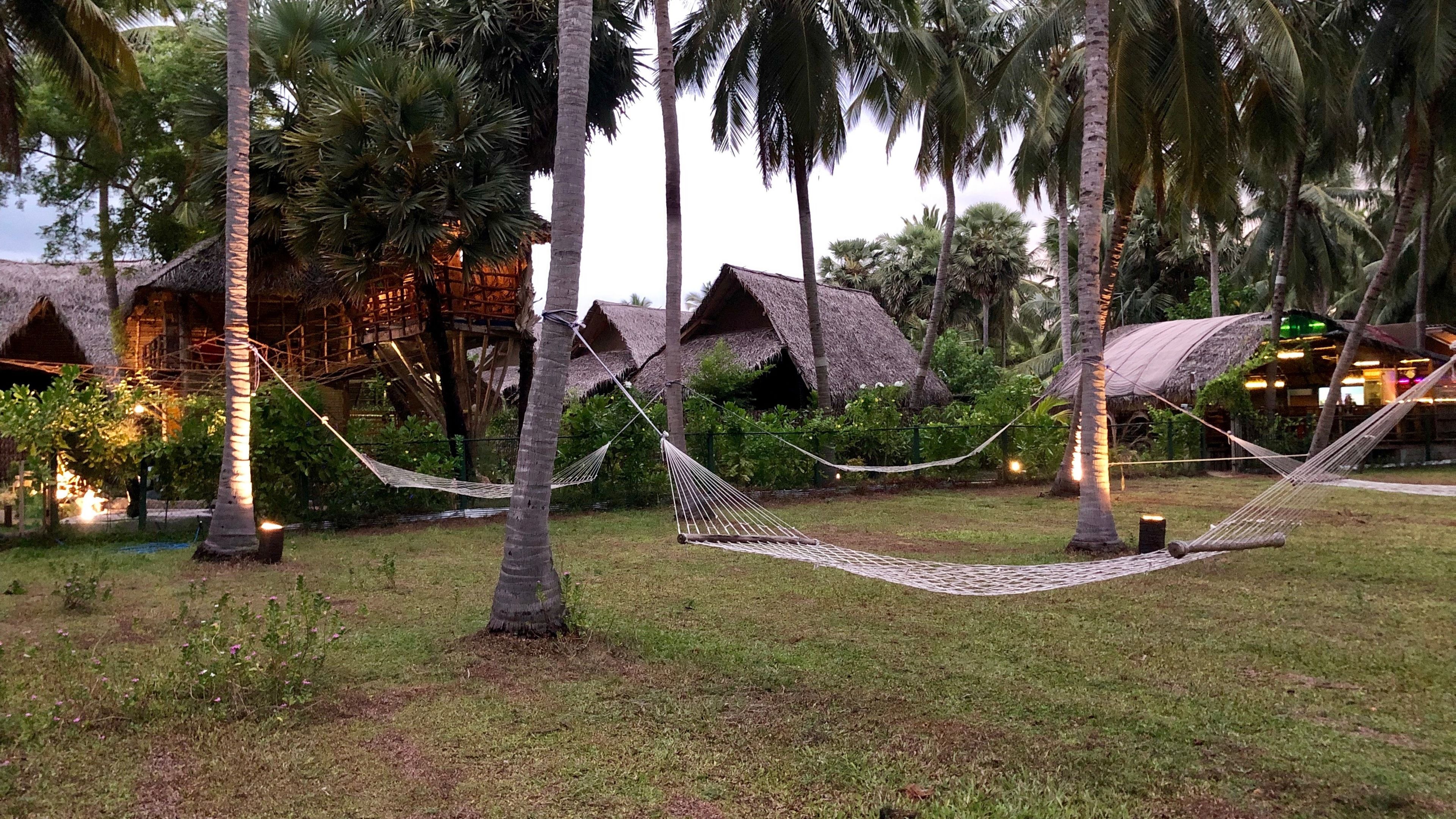 A hammock between palm trees in a grassy area with thatched-roof huts in the background.
