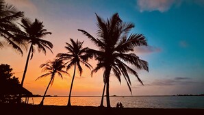 A beach scene with palm trees silhouetted against a sunset sky.