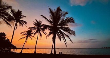 Cena de praia com palmeiras recortadas contra um céu de pôr do sol.