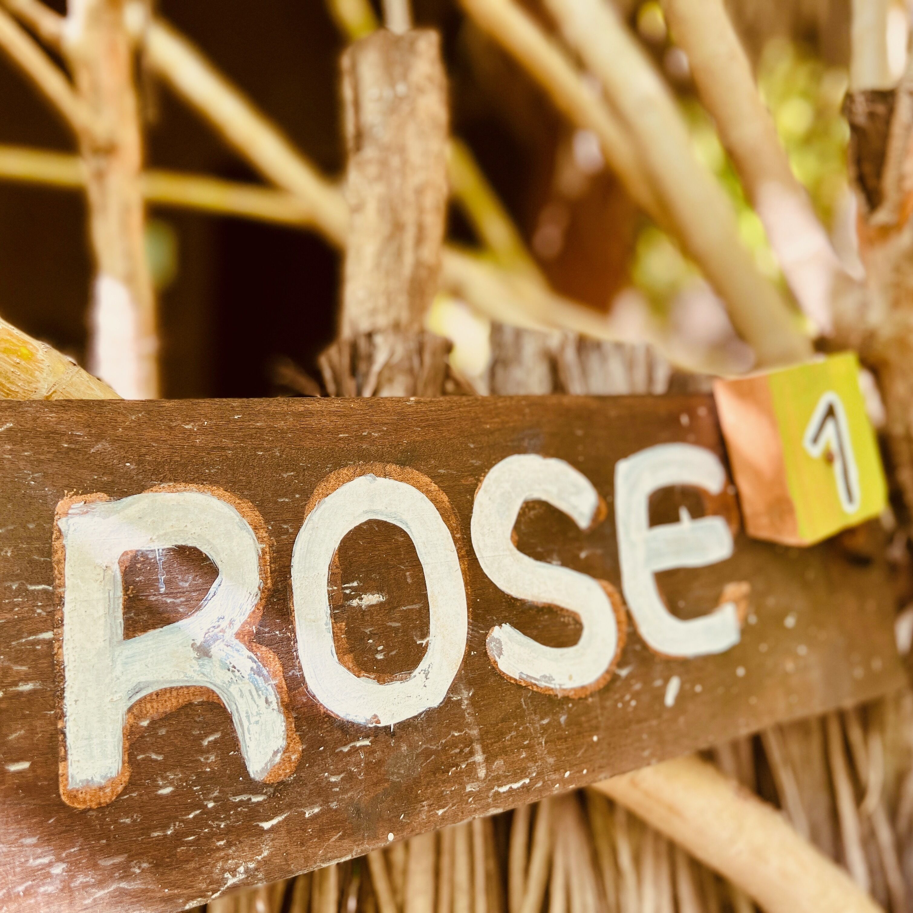 Uma placa de madeira com a palavra 'Rose' e o número '1' colados.