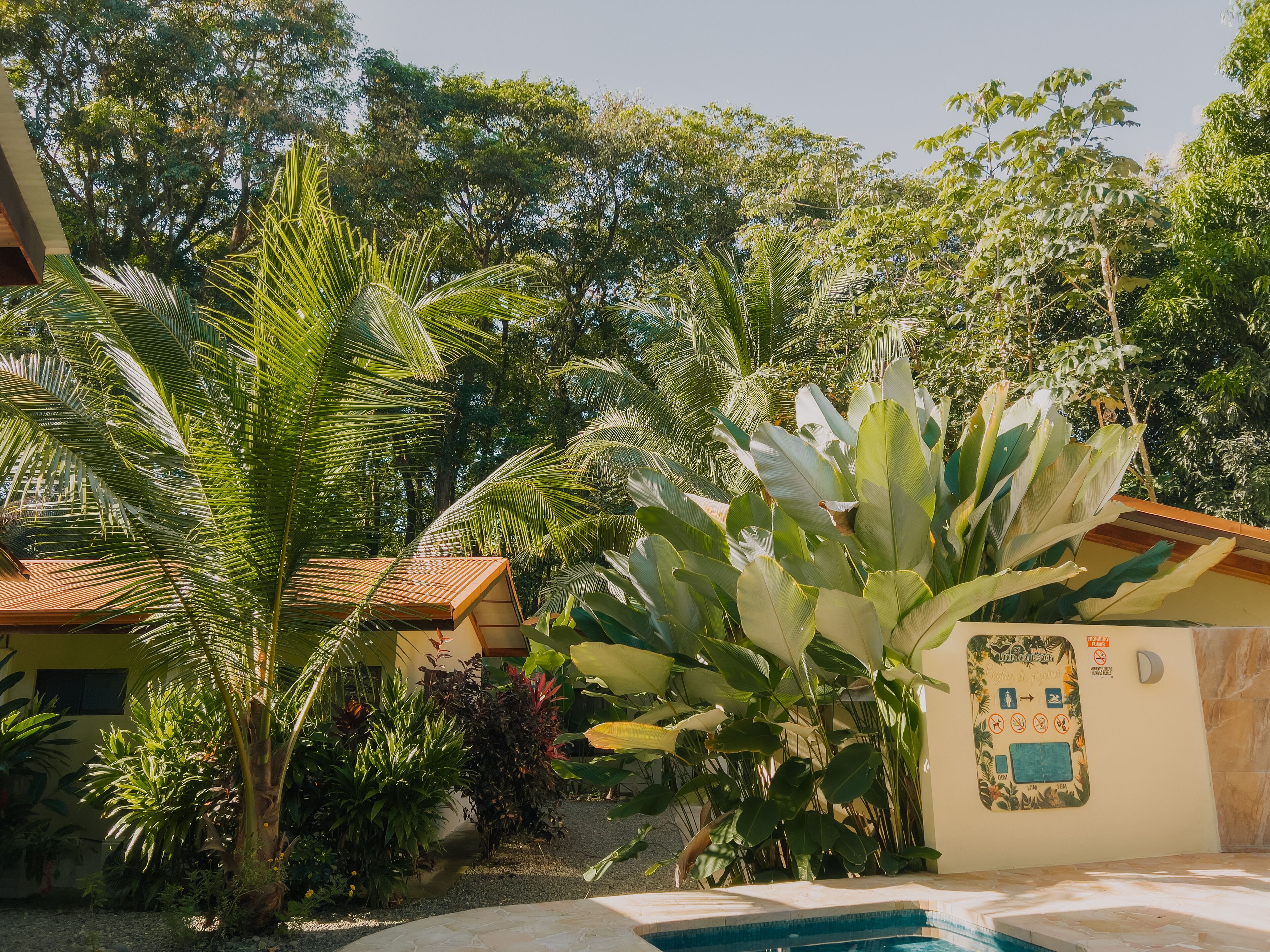 A pool area with a tiled deck, surrounded by lush tropical plants and a building with a tiled roof.