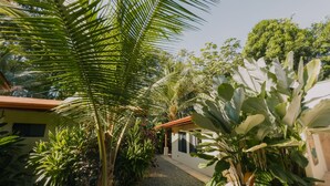 Un sendero en un jardín que conduce a un edificio con techo de tejas, rodeado de diversas plantas y árboles tropicales.