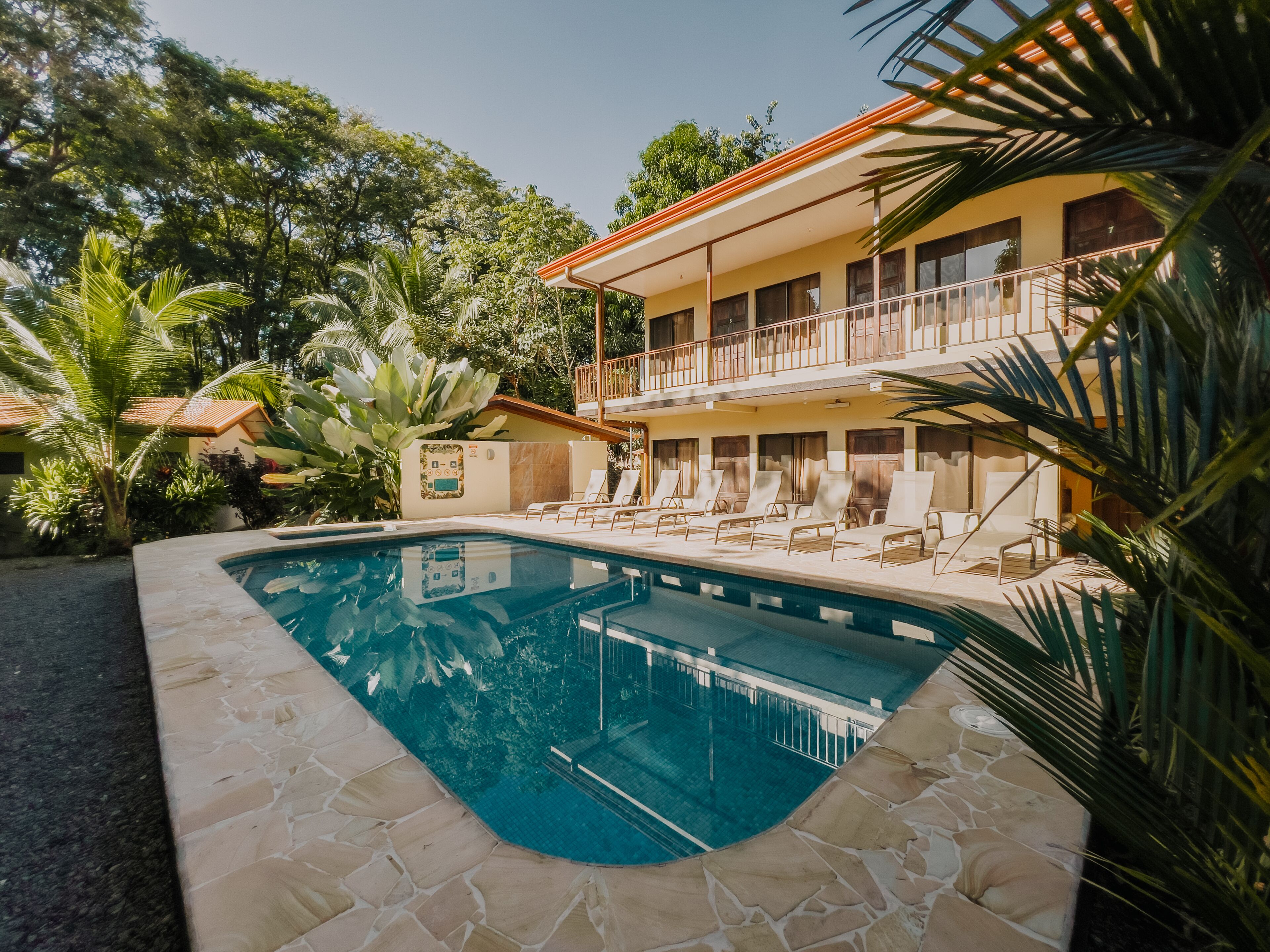 Outdoor pool, sun loungers