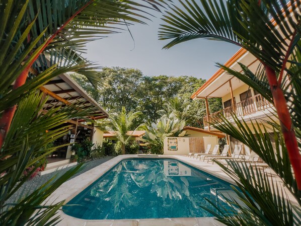 Outdoor pool, pool loungers