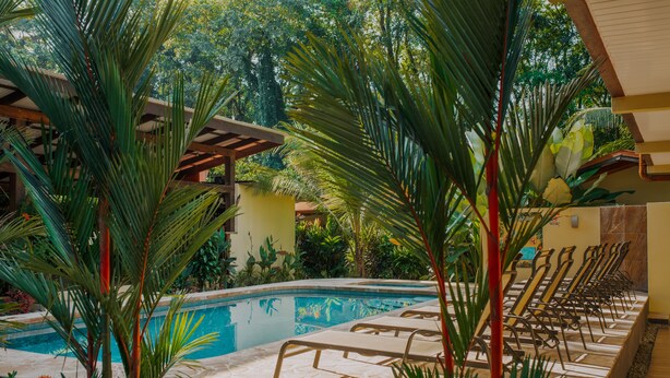 Un área de piscina con sillas de descanso y plantas tropicales.