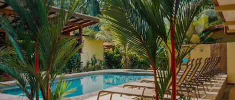 Outdoor pool, sun loungers
