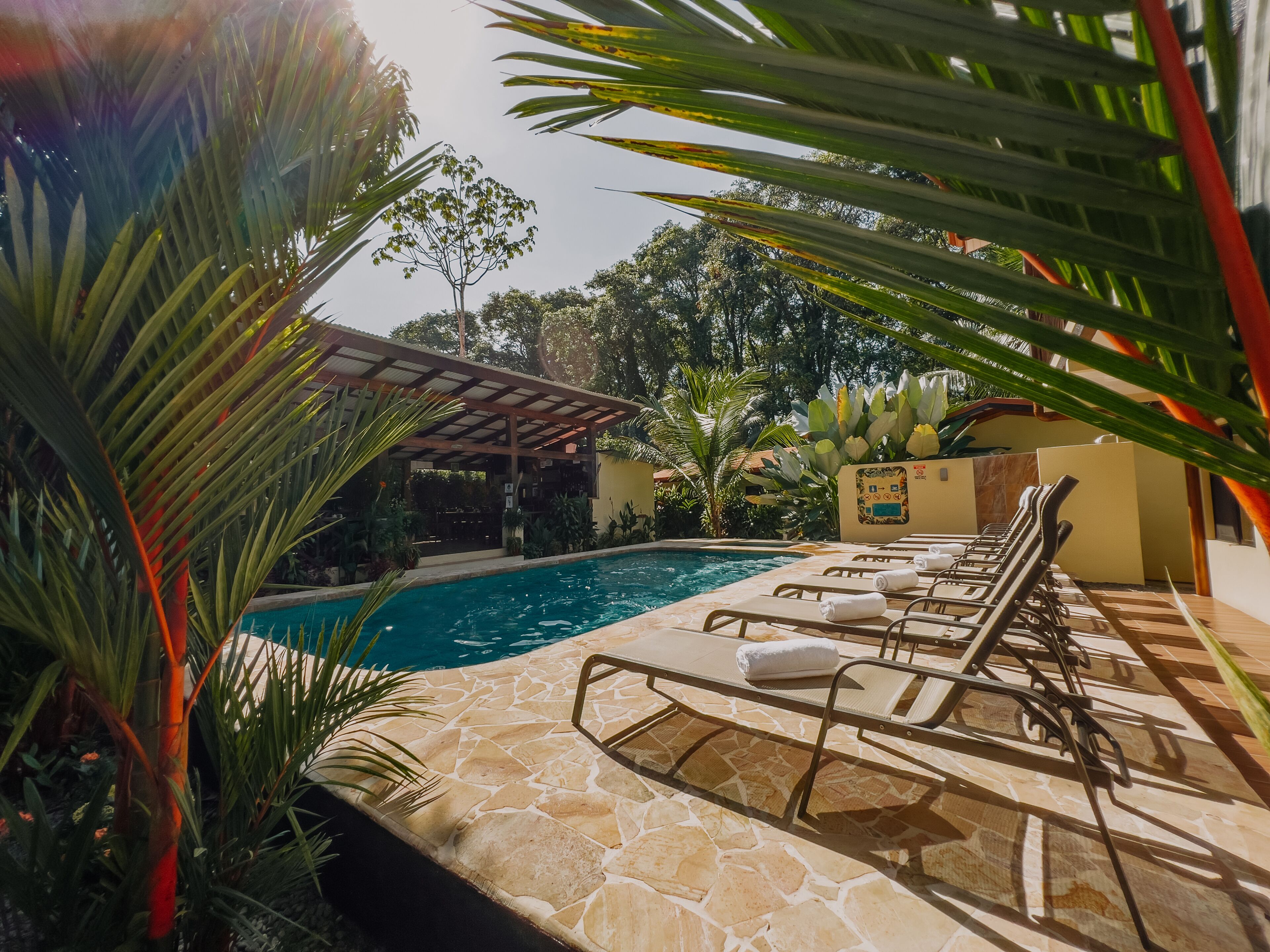 outdoor pool, pool loungers