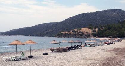 Merve Apart