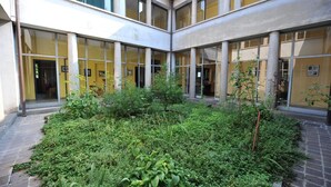 Un patio central con jardín, rodeado por un edificio con amplios ventanales y columnas.