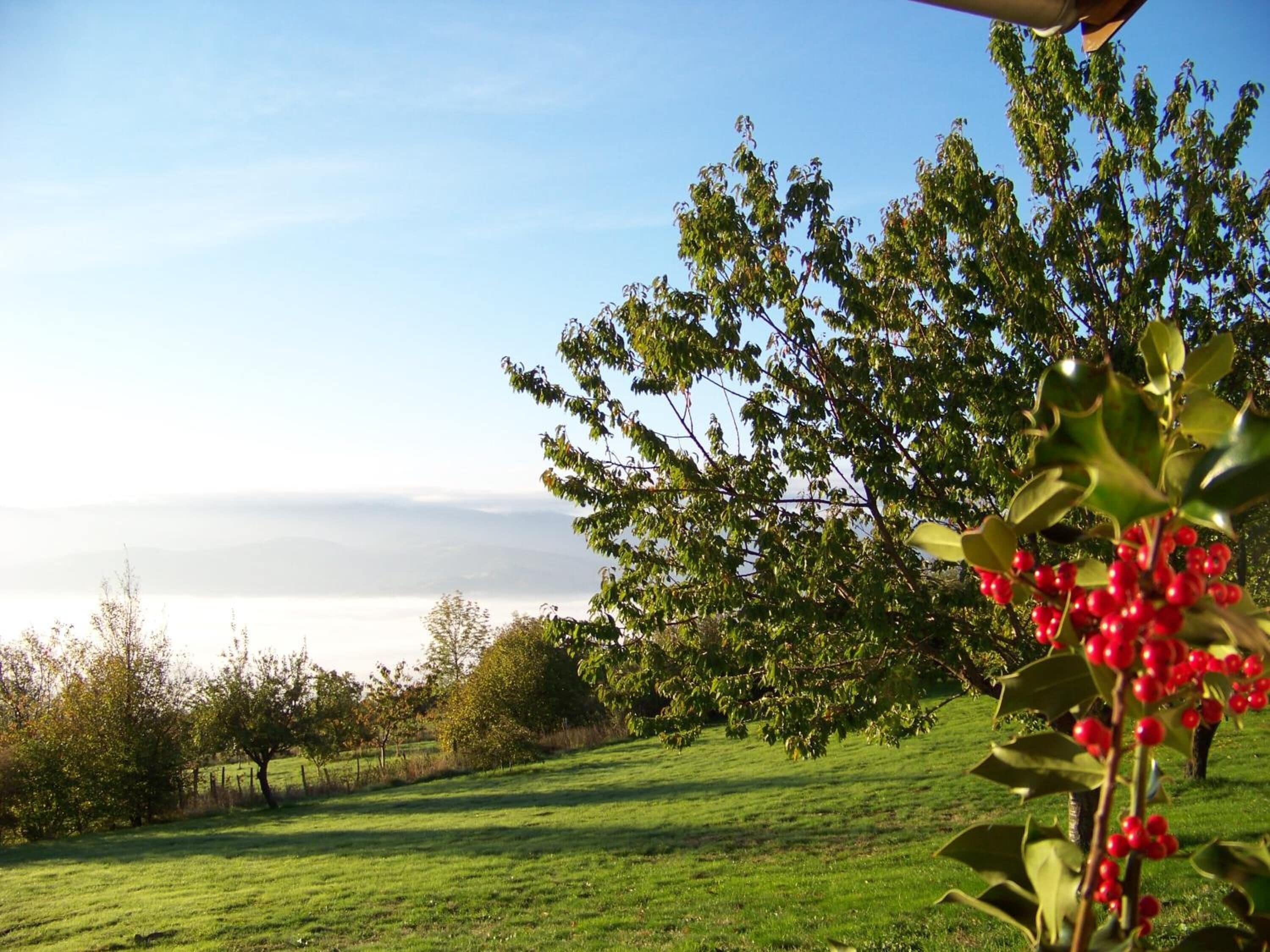 Foto - Croix Blanche