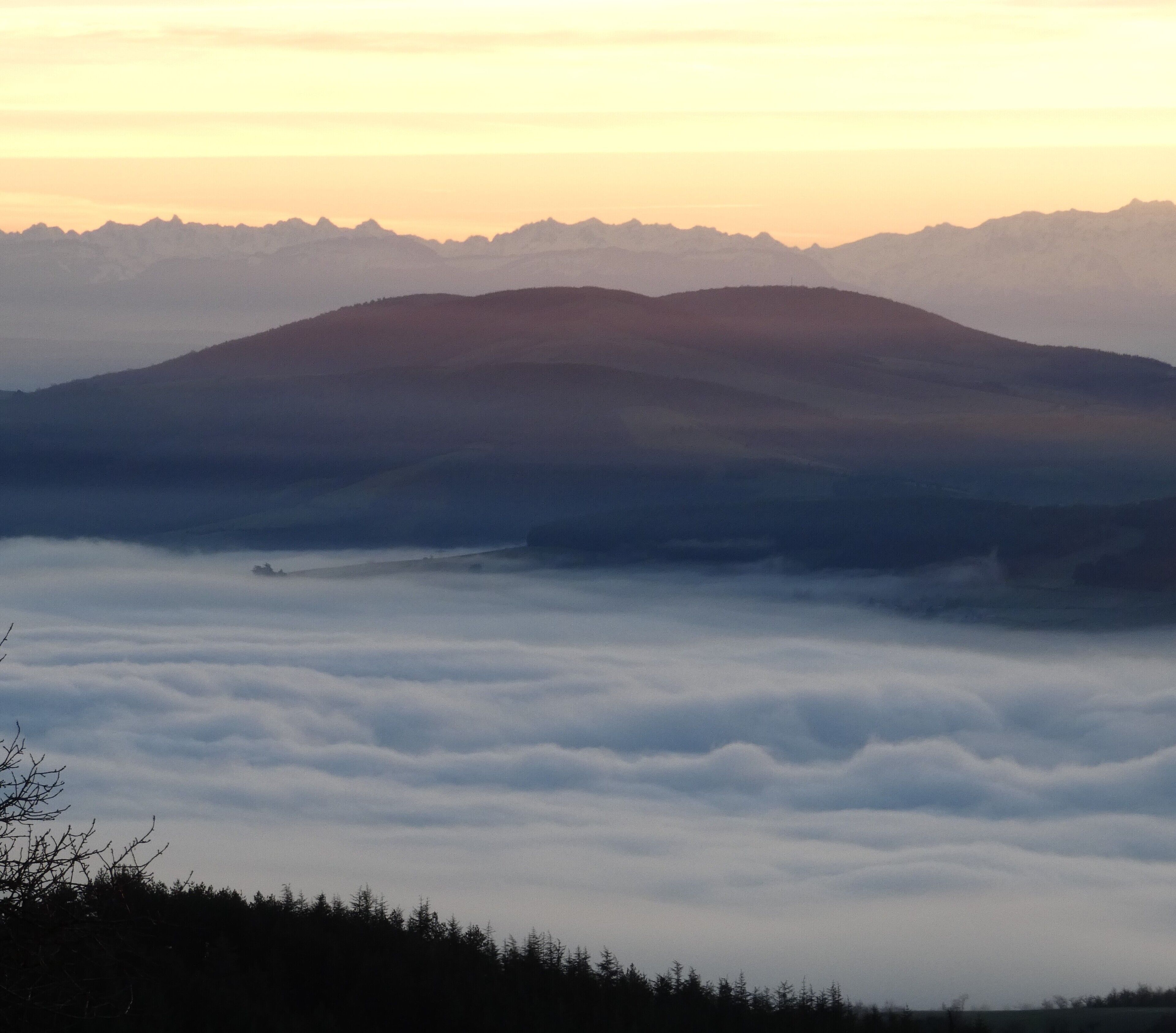Foto - Croix Blanche