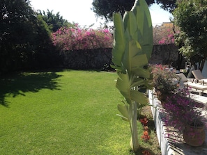Property grounds - 6rec 24 Personas Quinta EN Xochitepec, Morelos QC (Xochitepec)