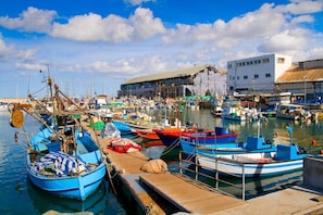 Dock