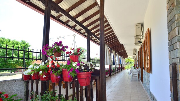 Un espacio al aire libre cubierto con plantas en macetas y suelo de baldosas.