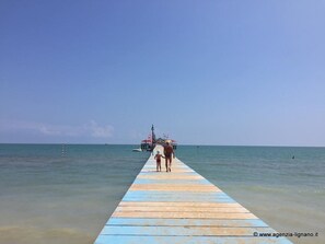 بالقرب من الشاطئ