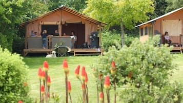 Tente (Lodges) | Terrasse/Patio