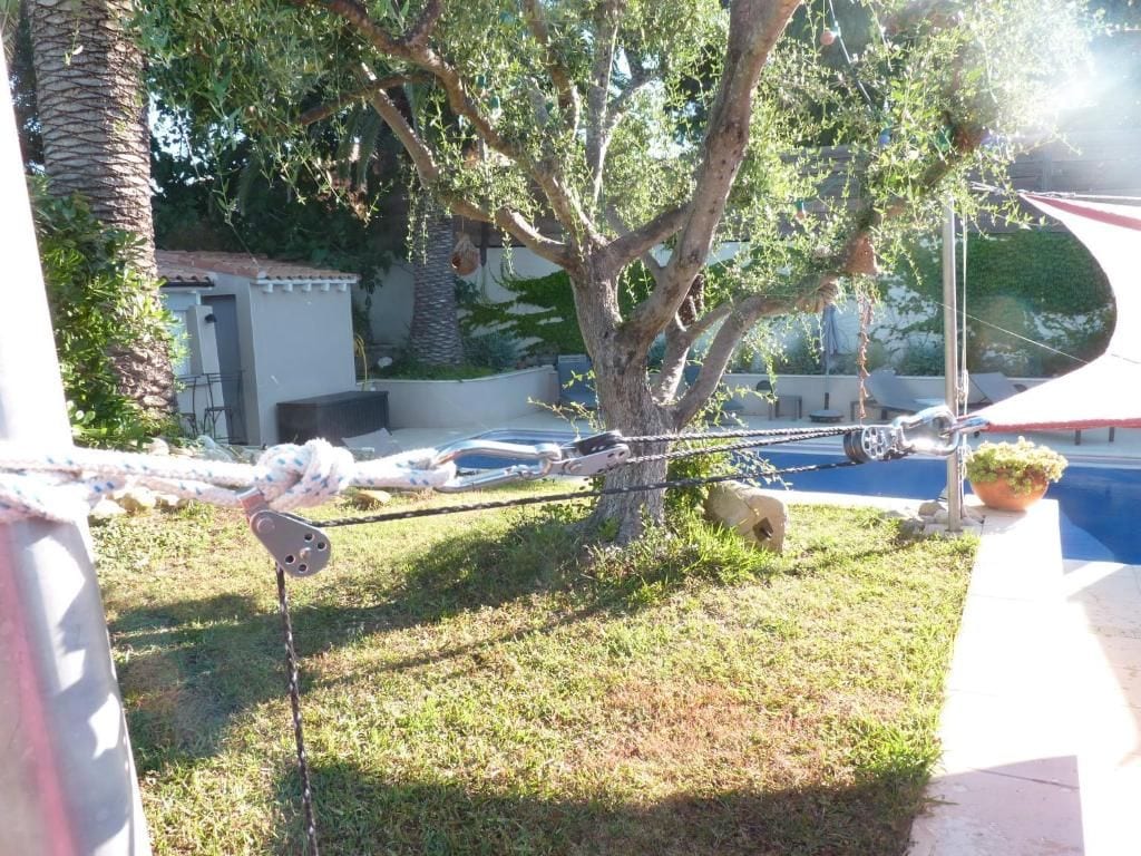 A tree with a rope swing, a pool, and a building in the background.
