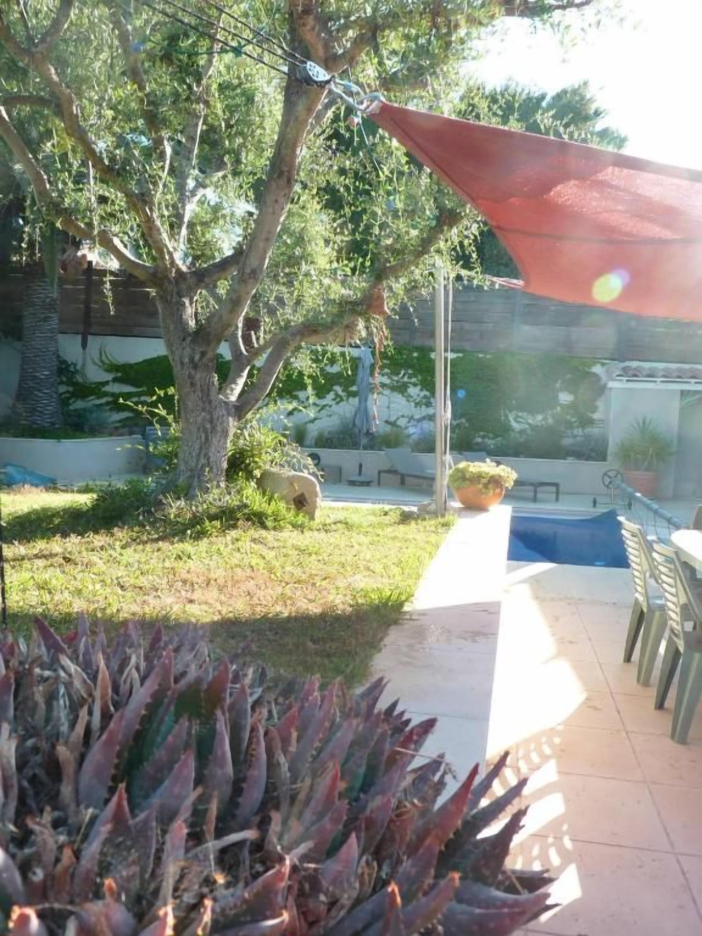 Eine Terrasse mit Pool, Gartenmöbeln und einem großen Baum, der Schatten spendet.