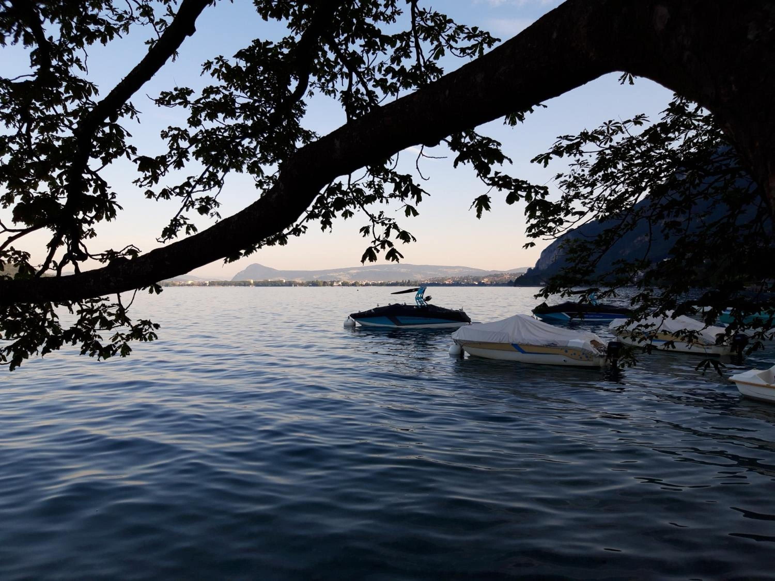 A calm lake with boats docked, surrounded by trees and distant mountains.