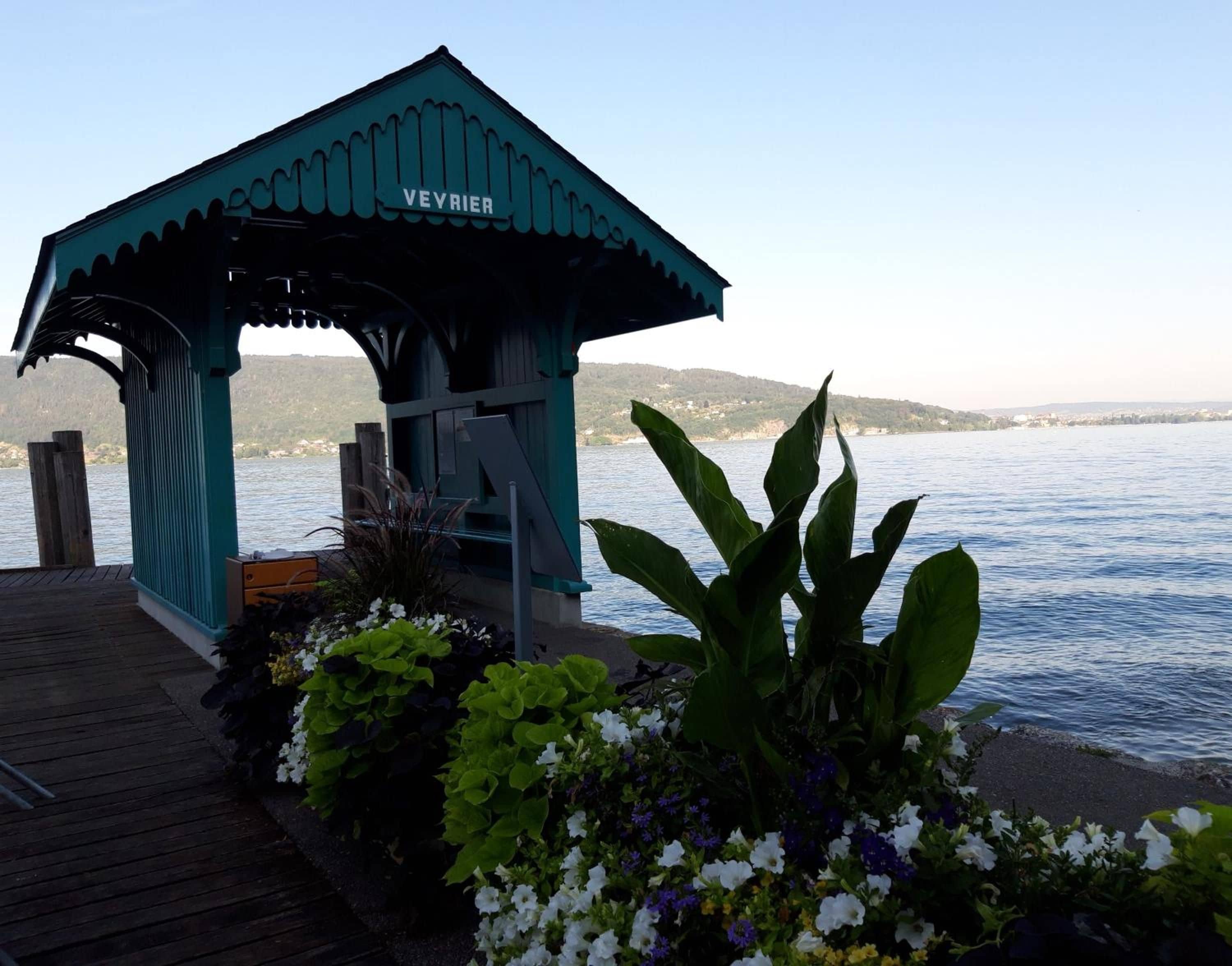 Ein Pavillon mit Blick auf das Wasser.