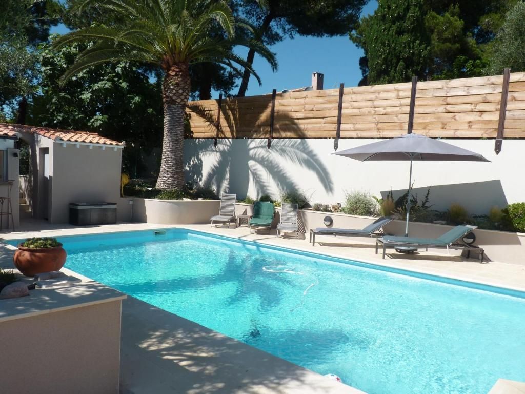 A swimming pool with lounge chairs and a palm tree.