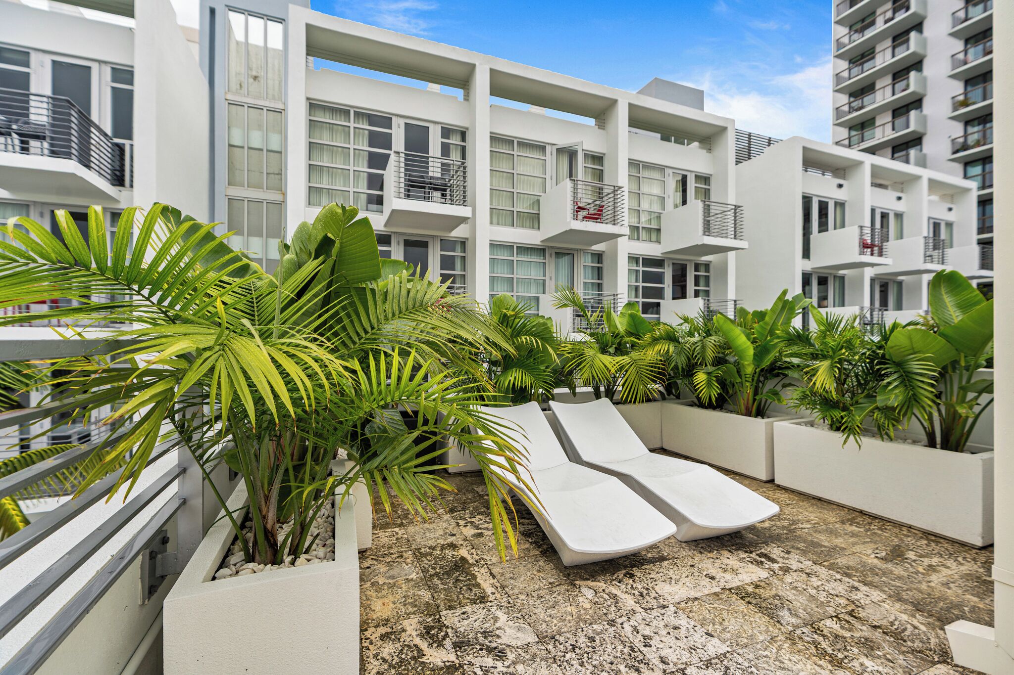 A rooftop with white buildings, a pool, and various plants.