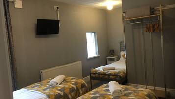 A hotel room with two beds, a TV, a window, a radiator, a wardrobe, and a shower.