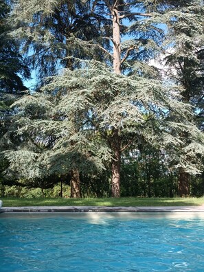 Outdoor pool - Le Jardin Des Cèdres (Lavaur)