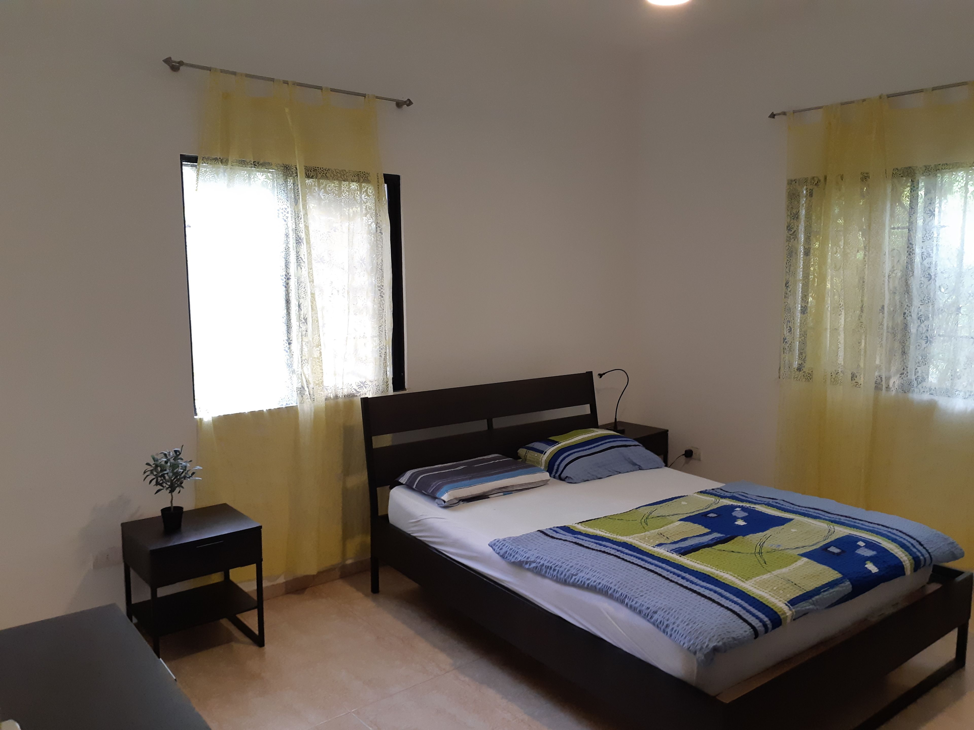 A bedroom with a single bed, a bedside table, and a small potted plant.