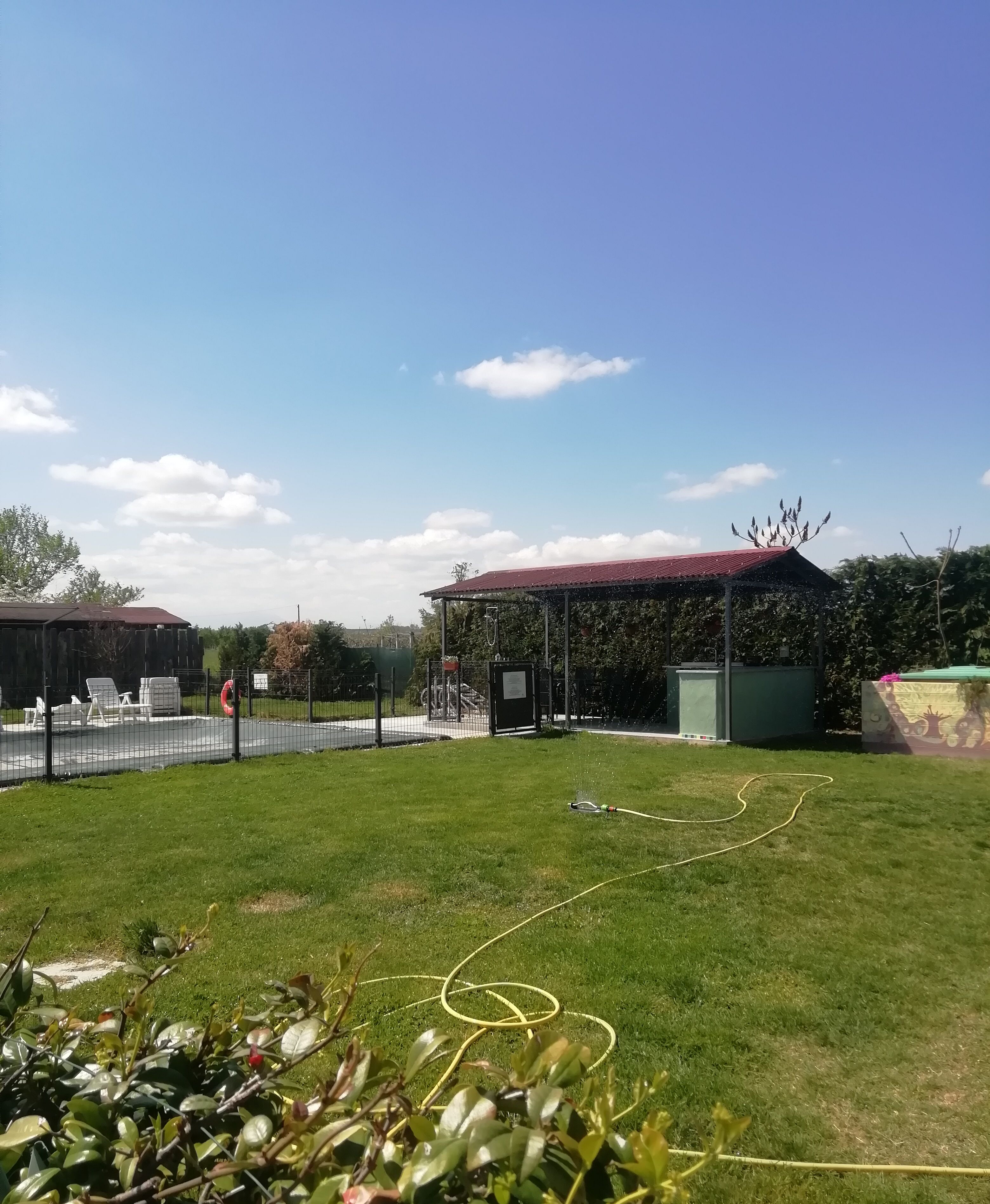 Ein Rasenbereich im Freien mit einer überdachten Struktur, einem eingezäunten Pool und einem Schlauch auf dem Rasen.