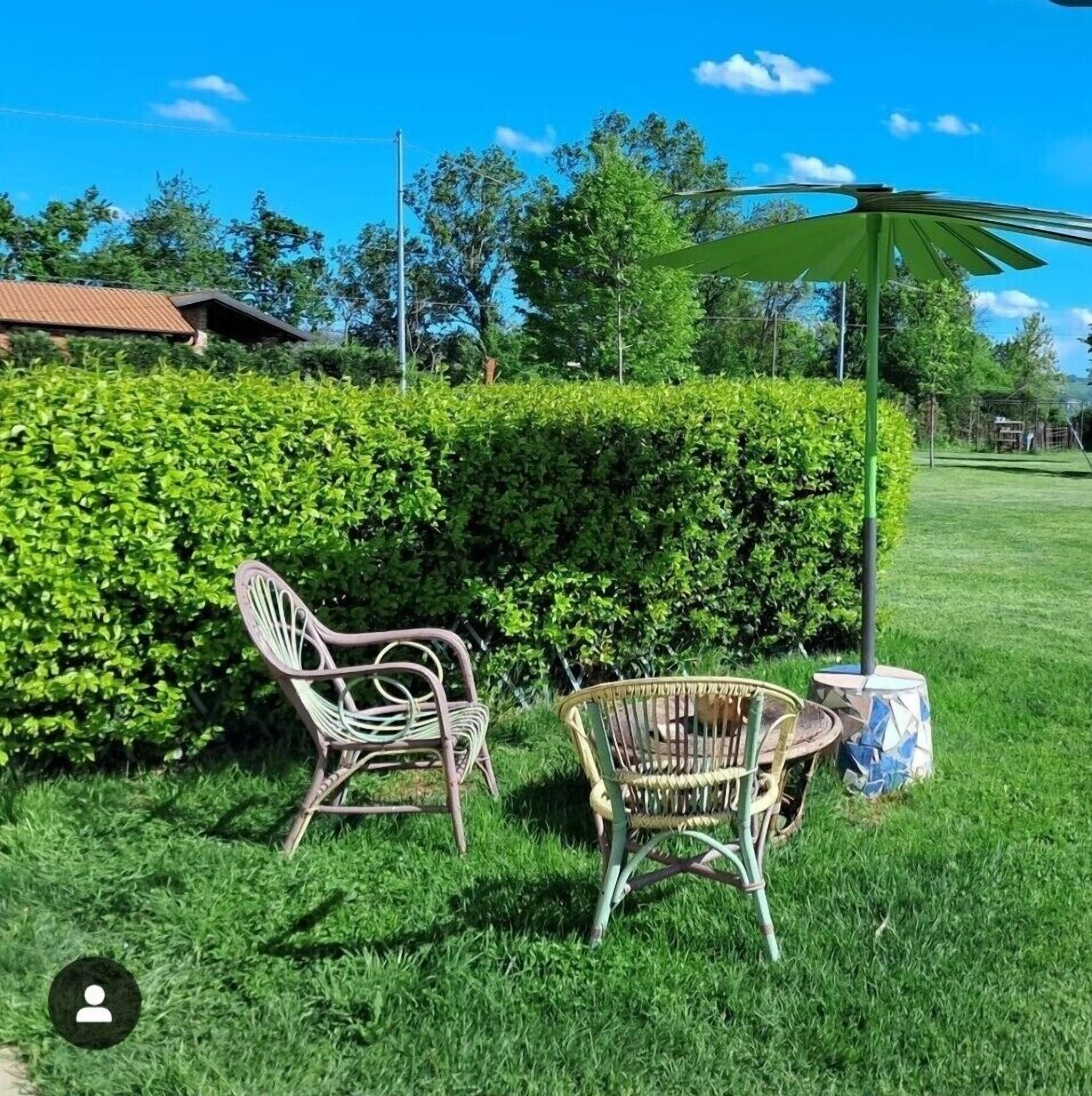 Two wicker chairs and a small table in a grassy outdoor area with a hedge and a metal pole.