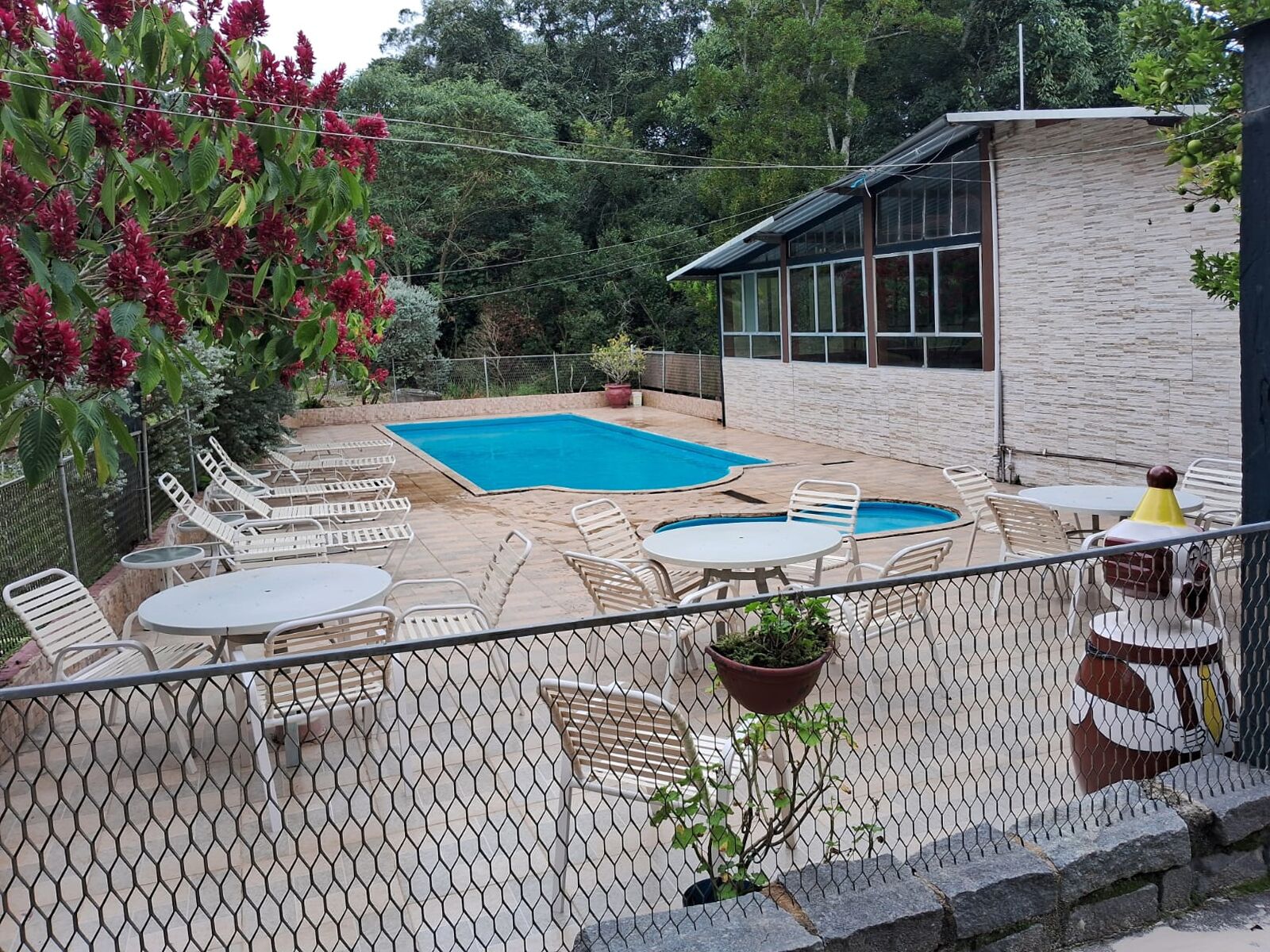 A backyard with a swimming pool, lounge chairs, and a small building with large windows.