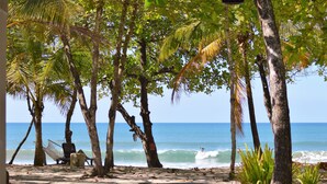 Una playa con palmeras, una hamaca y un banco.
