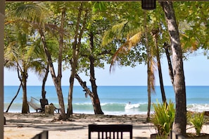 Deluxe Room, 1 King Bed, Ocean View, Beachfront (Pelican) | Beach/ocean view - Casa Cecilia Beach Front (Cóbano)