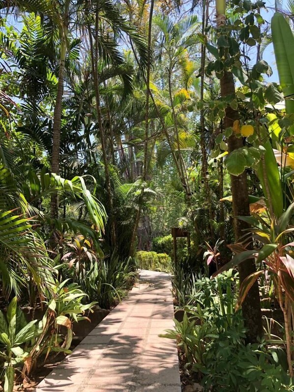 Exterior detail - Casa Cecilia Beach Front (Cóbano)