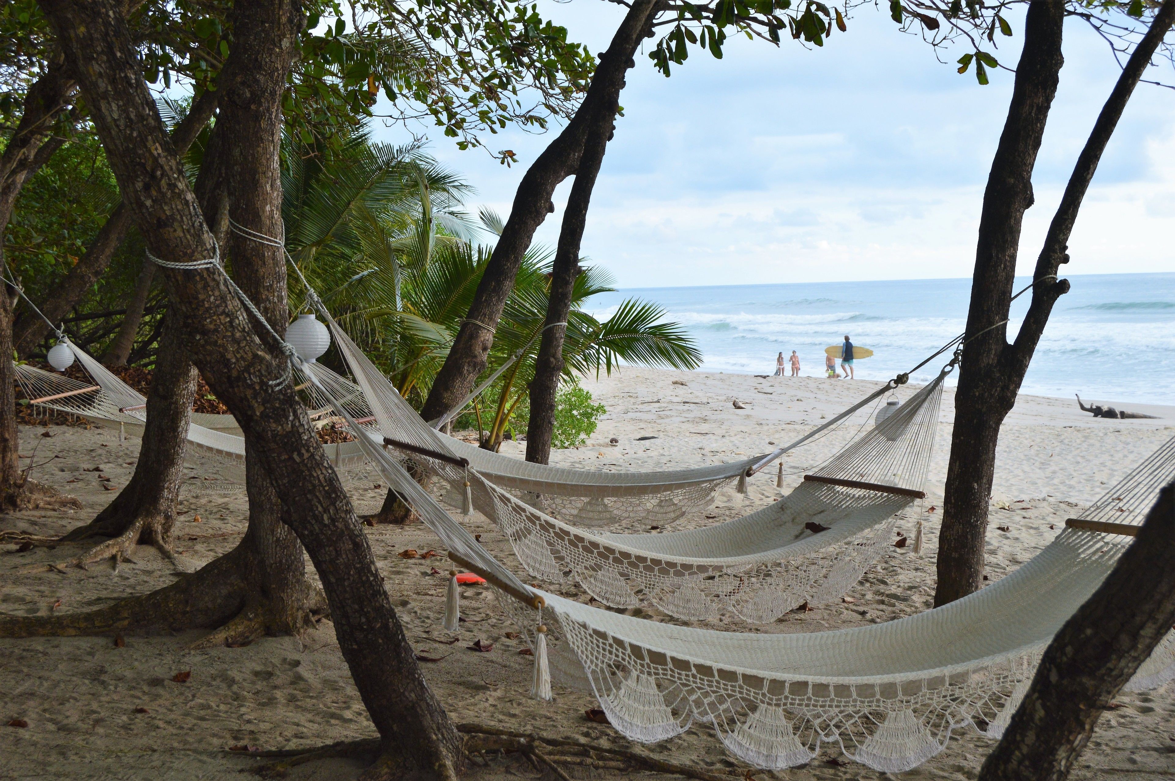 A hammock tied between trees on a sandy beach with the ocean in the background.