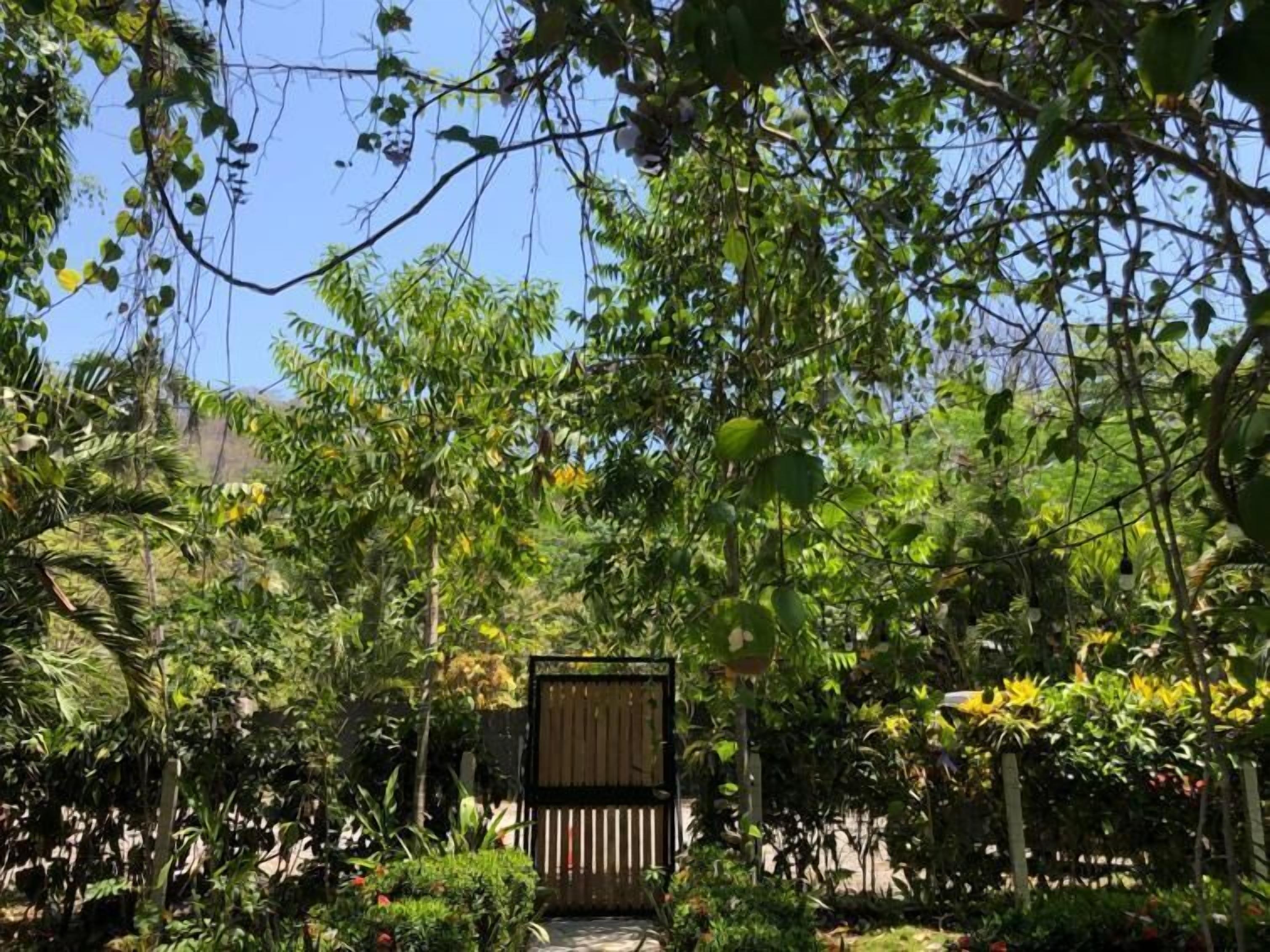 A lush garden with a variety of plants and trees, a wooden gate, and a clear blue sky.