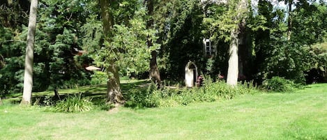 Trädgård